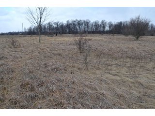 Property photo 1 - 127 Acres Offered in 8 Tracts - Allen & Dekalb County Land
